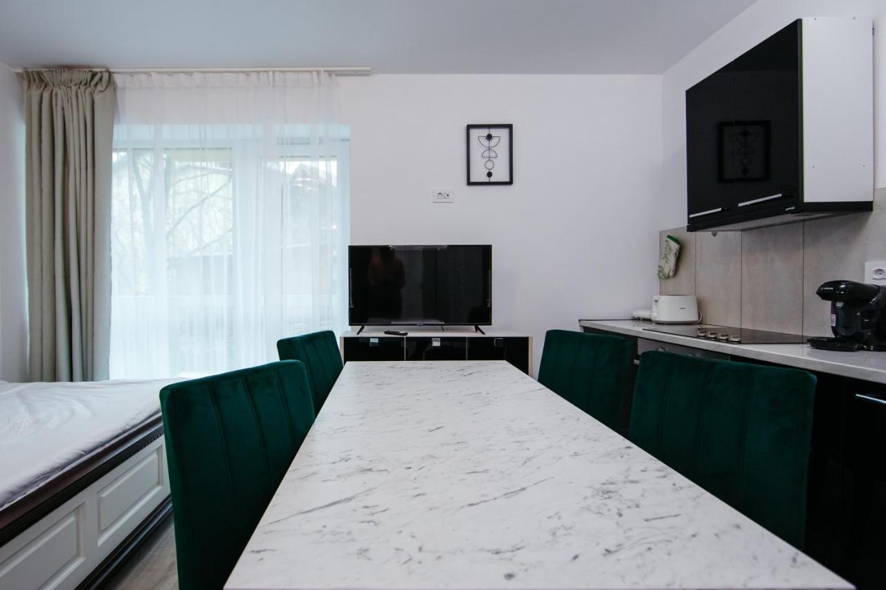 Апартаменты L&V Family Studio Синая Экстерьер фото